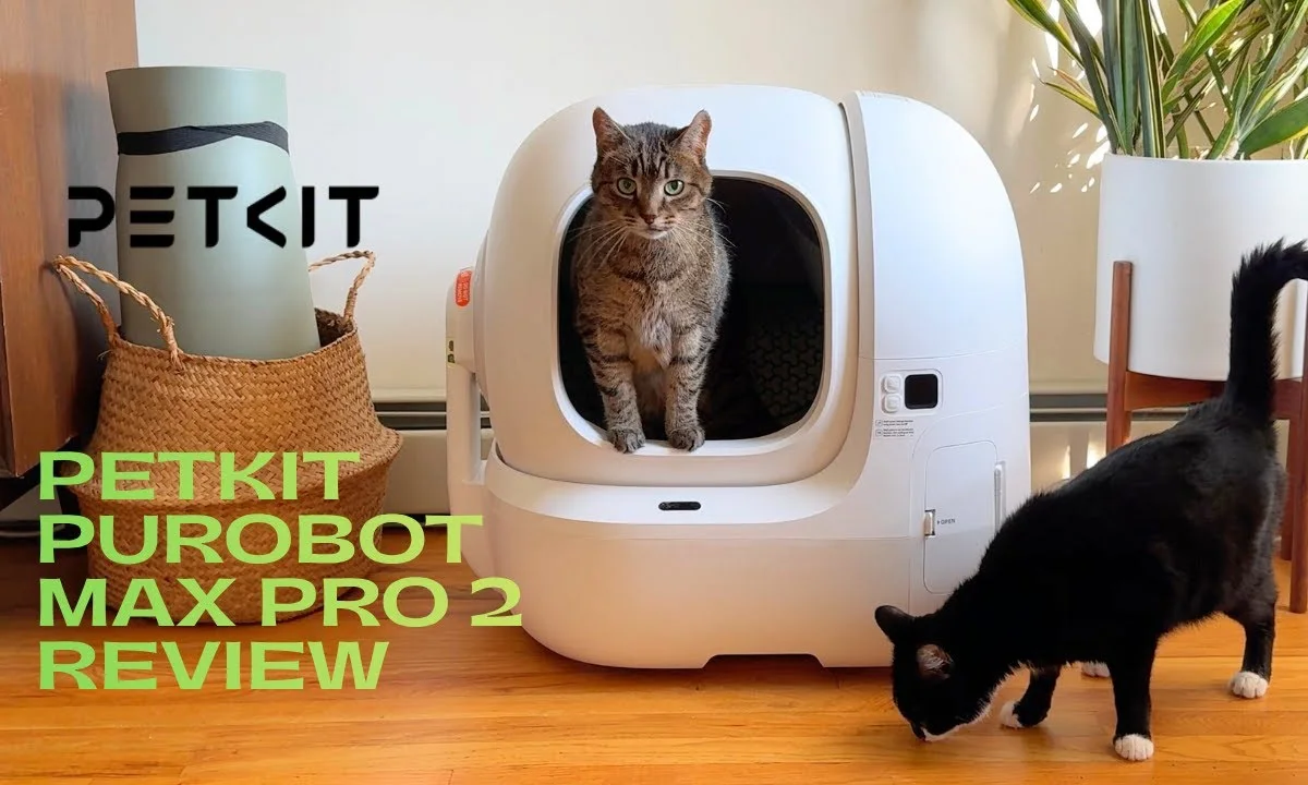 Cat using the PETKIT Purobot Max Pro 2